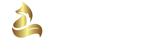 Turner Fox Productions